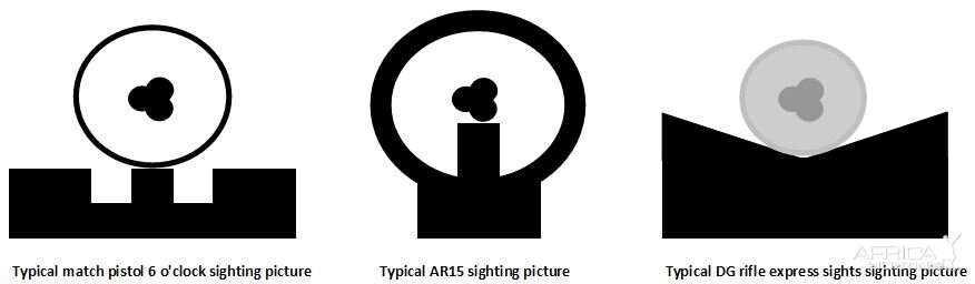 Express sights picture