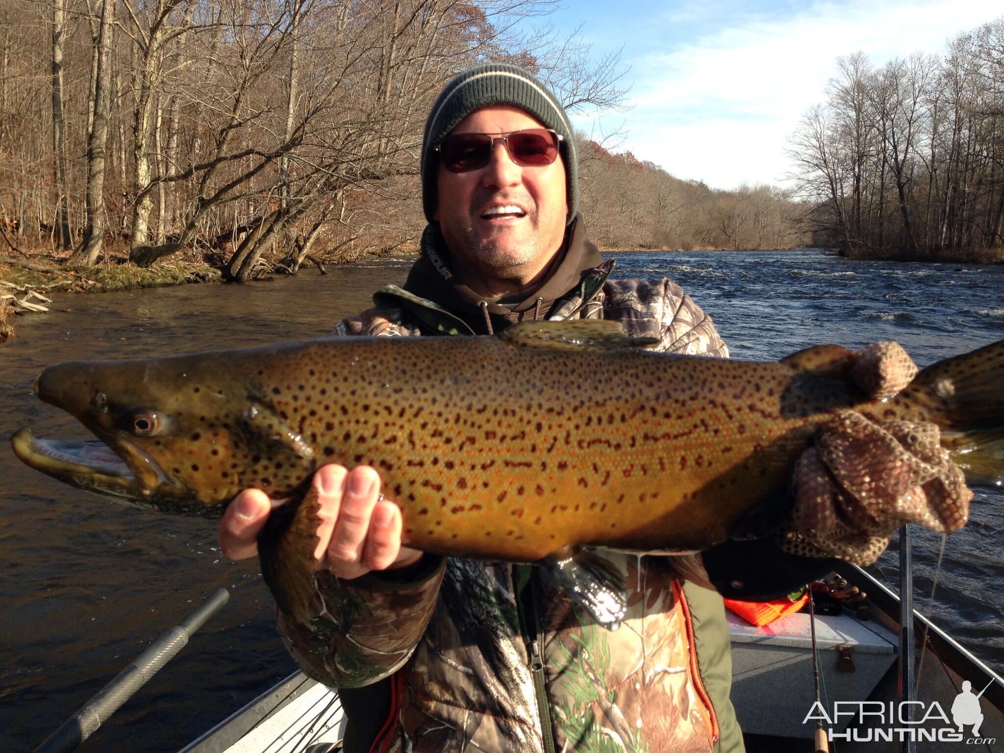 Fall Brown Trout