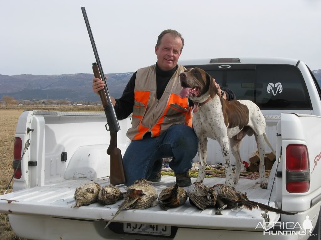 Fall Pheasant Hunt, Manti, Utah USA