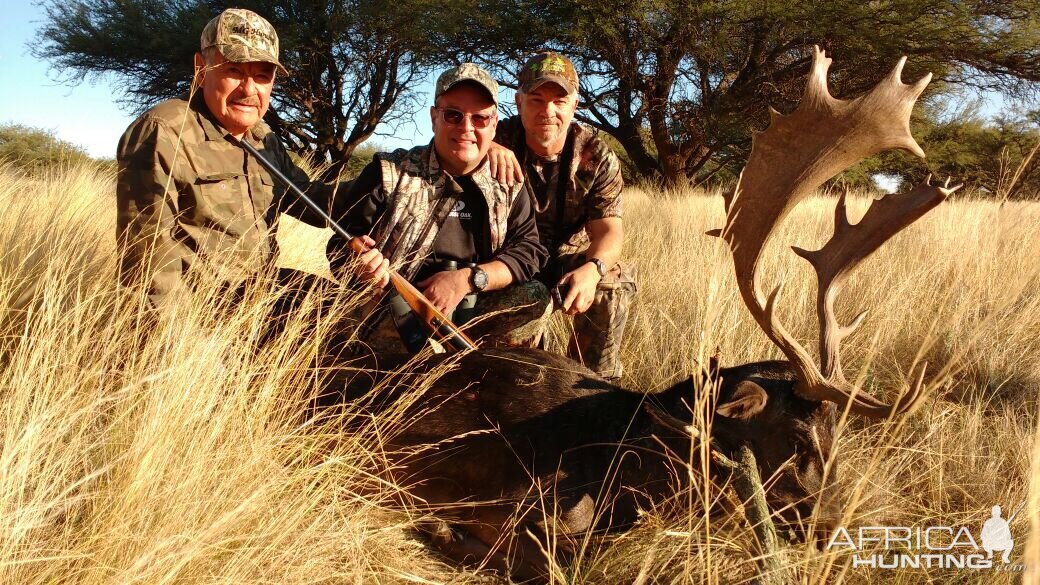 Fallow Deer Argentina Hunt