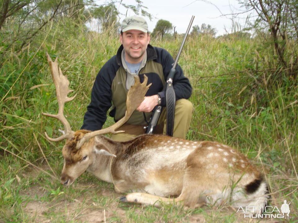 Fallow Deer Hunt Argentina