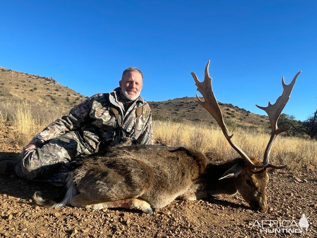 Fallow Deer Hunt Eastern Cape South Africa