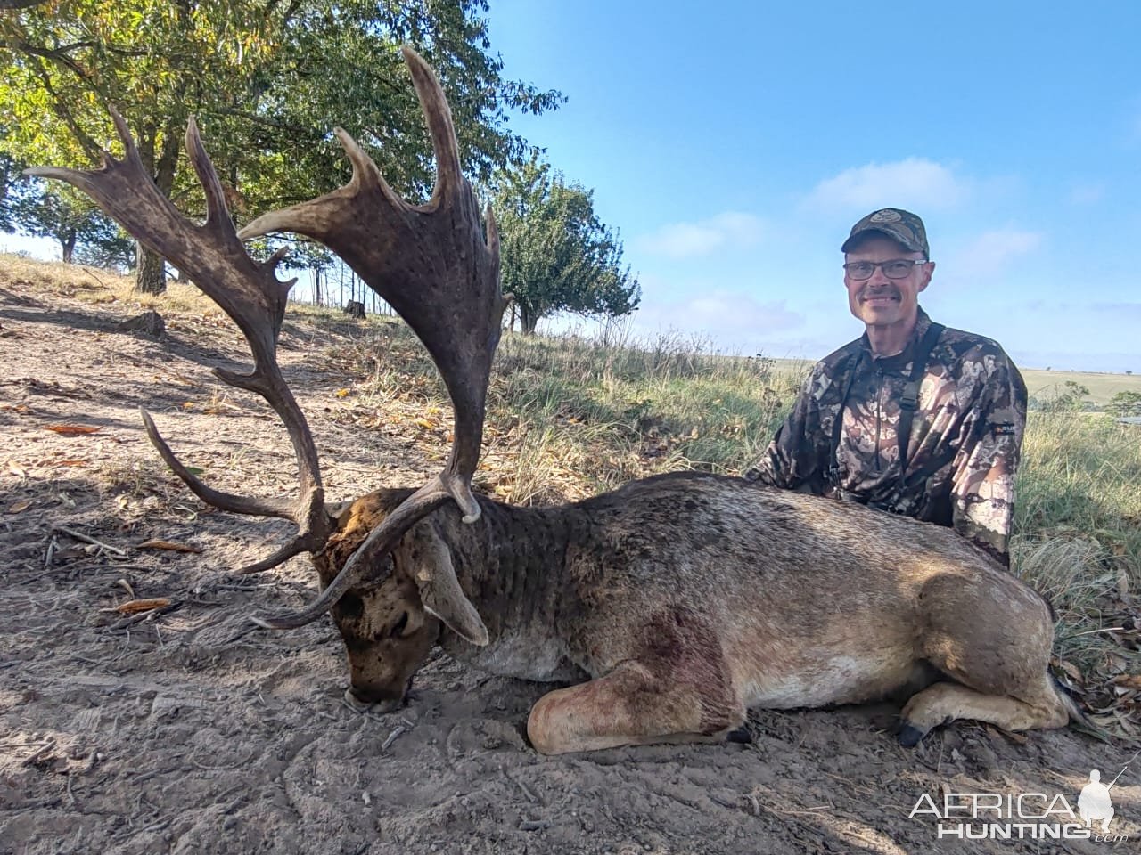 Fallow Deer Hunt Eastern Cape South Africa