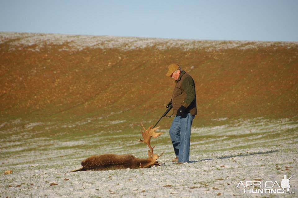 Fallow Deer Hunt France