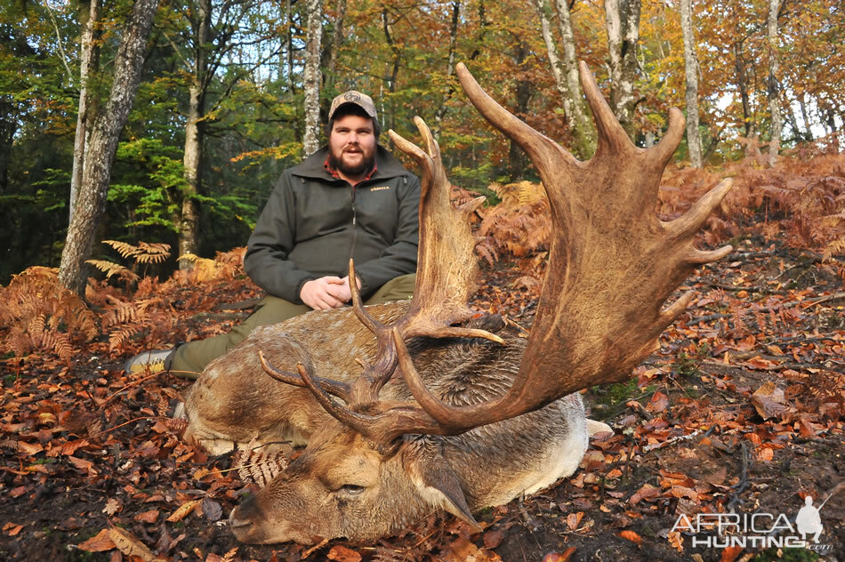 Fallow Deer Hunt France