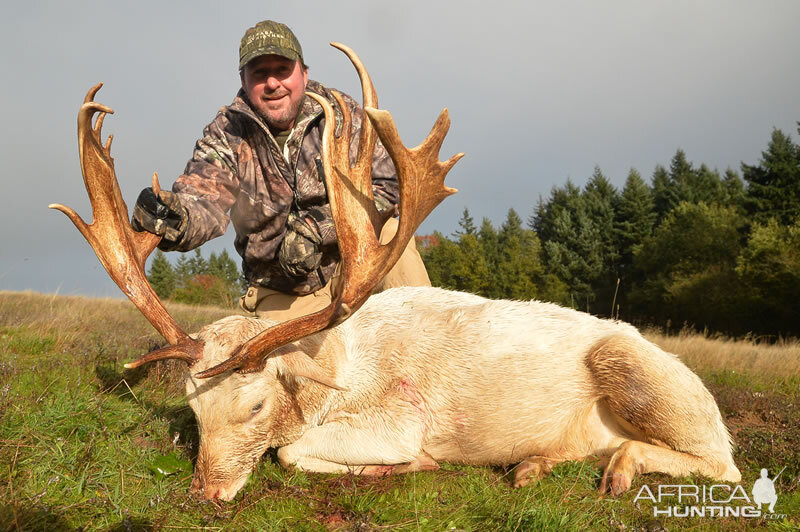 Fallow Deer Hunt France