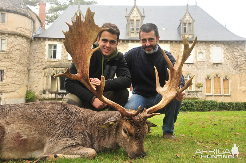 Fallow Deer Hunt in France