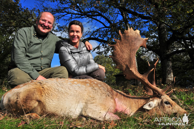 Fallow Deer Hunt in France