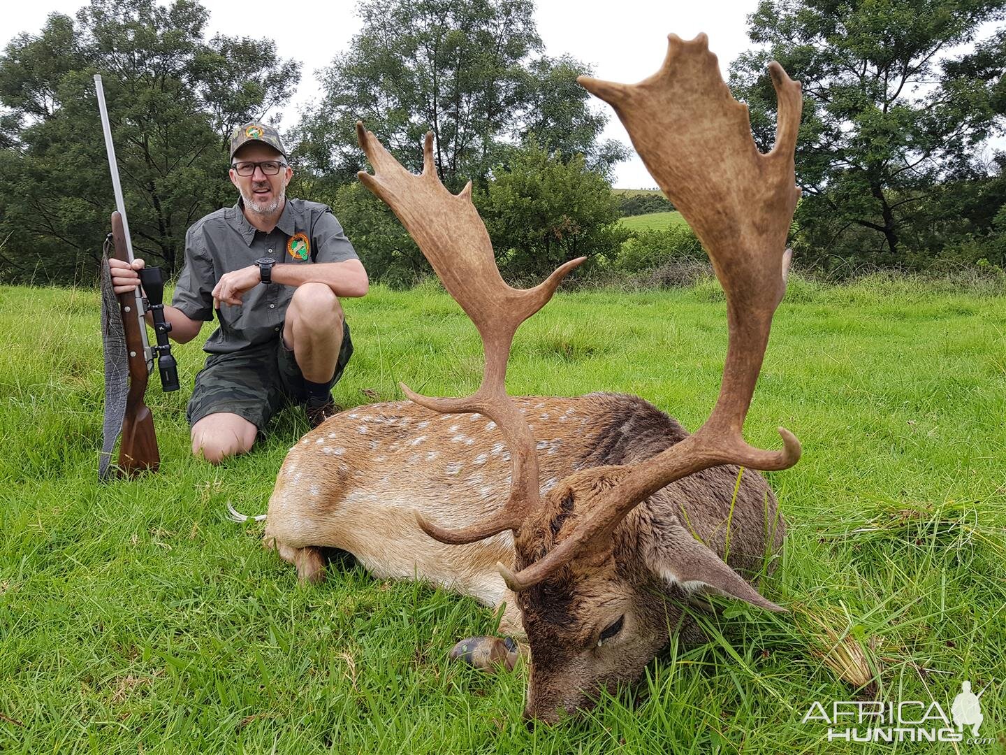 Fallow Deer Hunt in South Africa