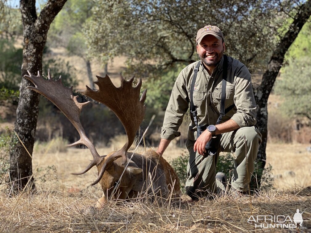 Fallow Deer Hunt in Spain