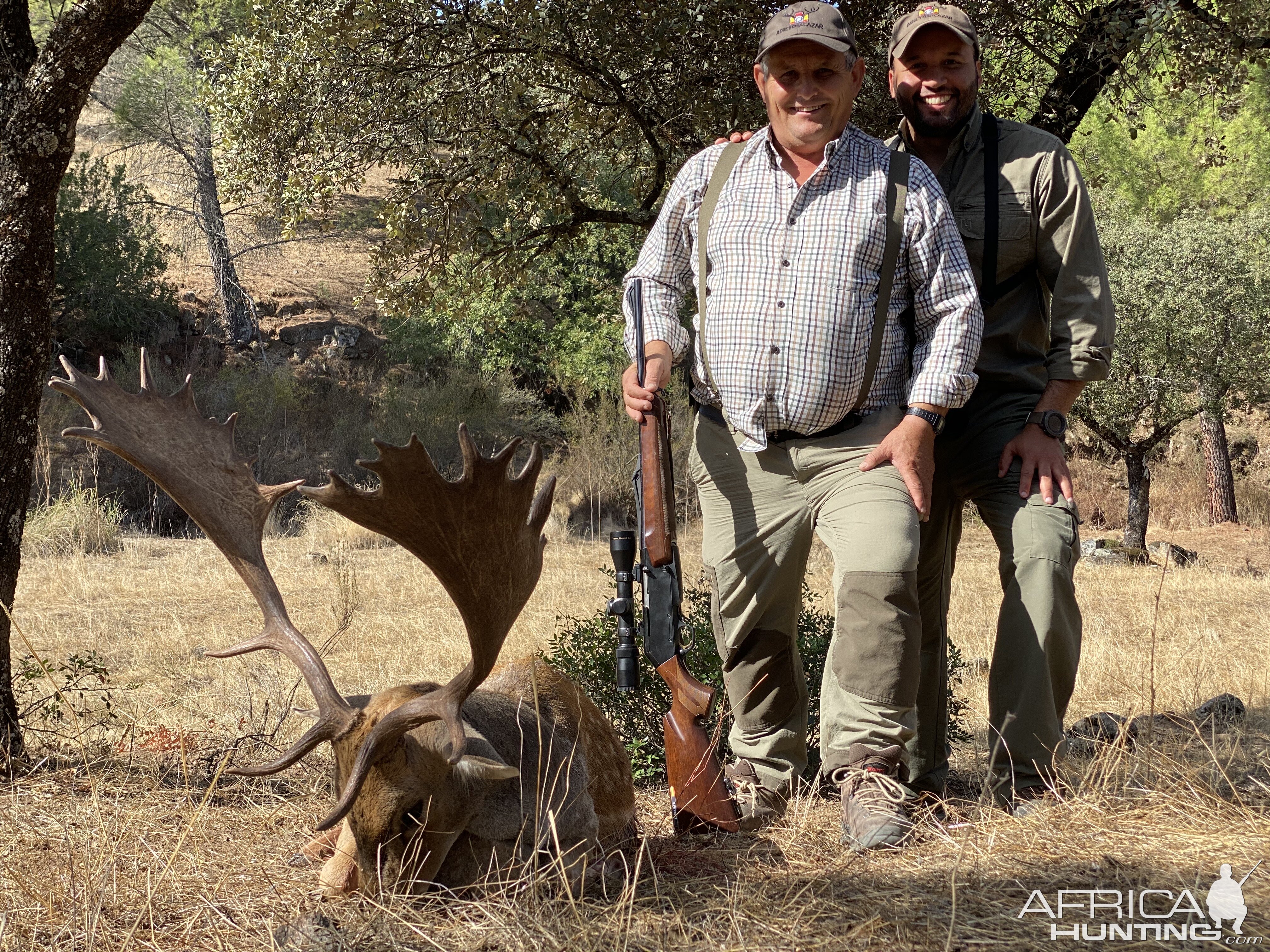 Fallow Deer Hunt in Spain