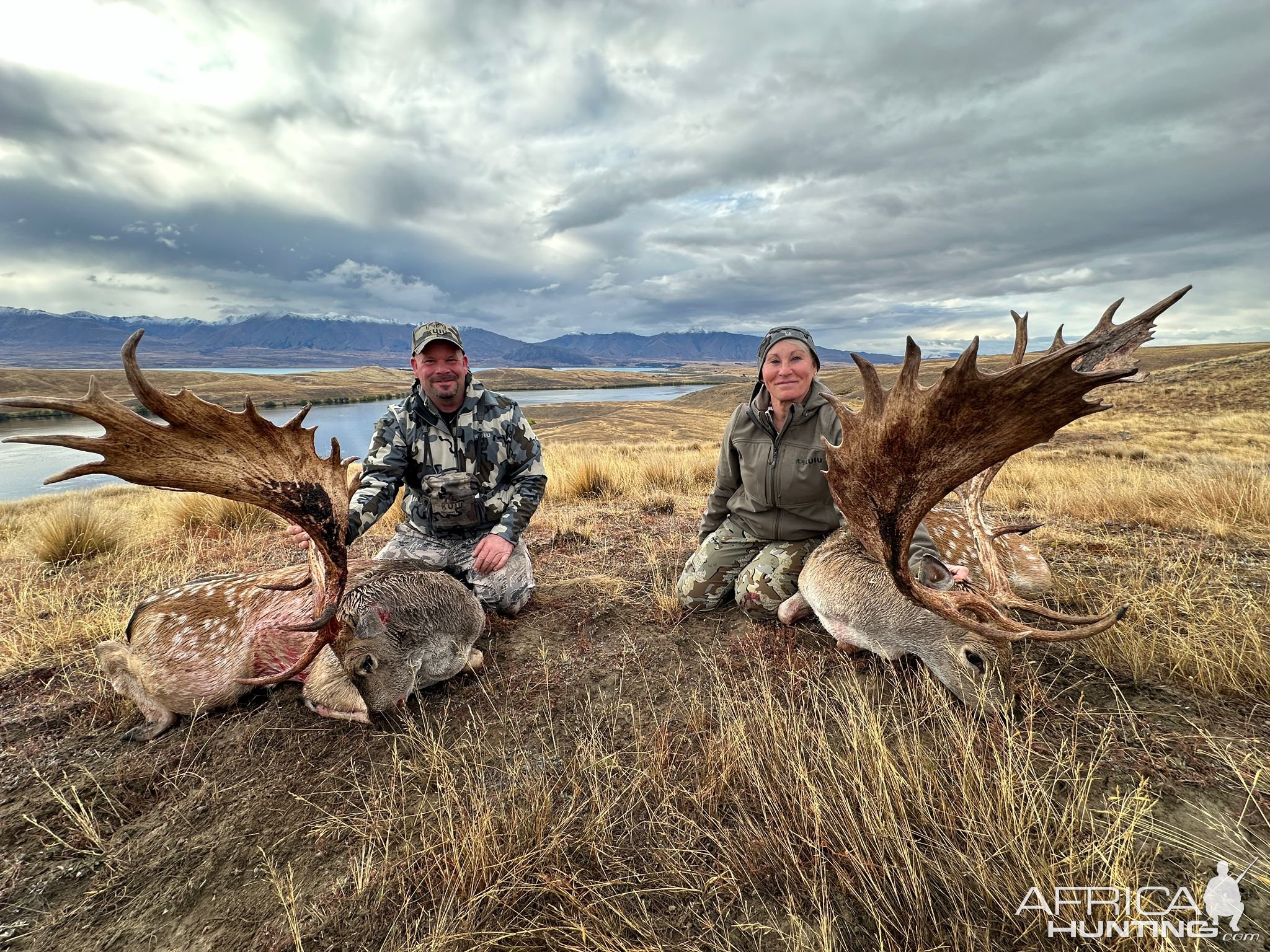 Fallow Deer Hunt New Zealand