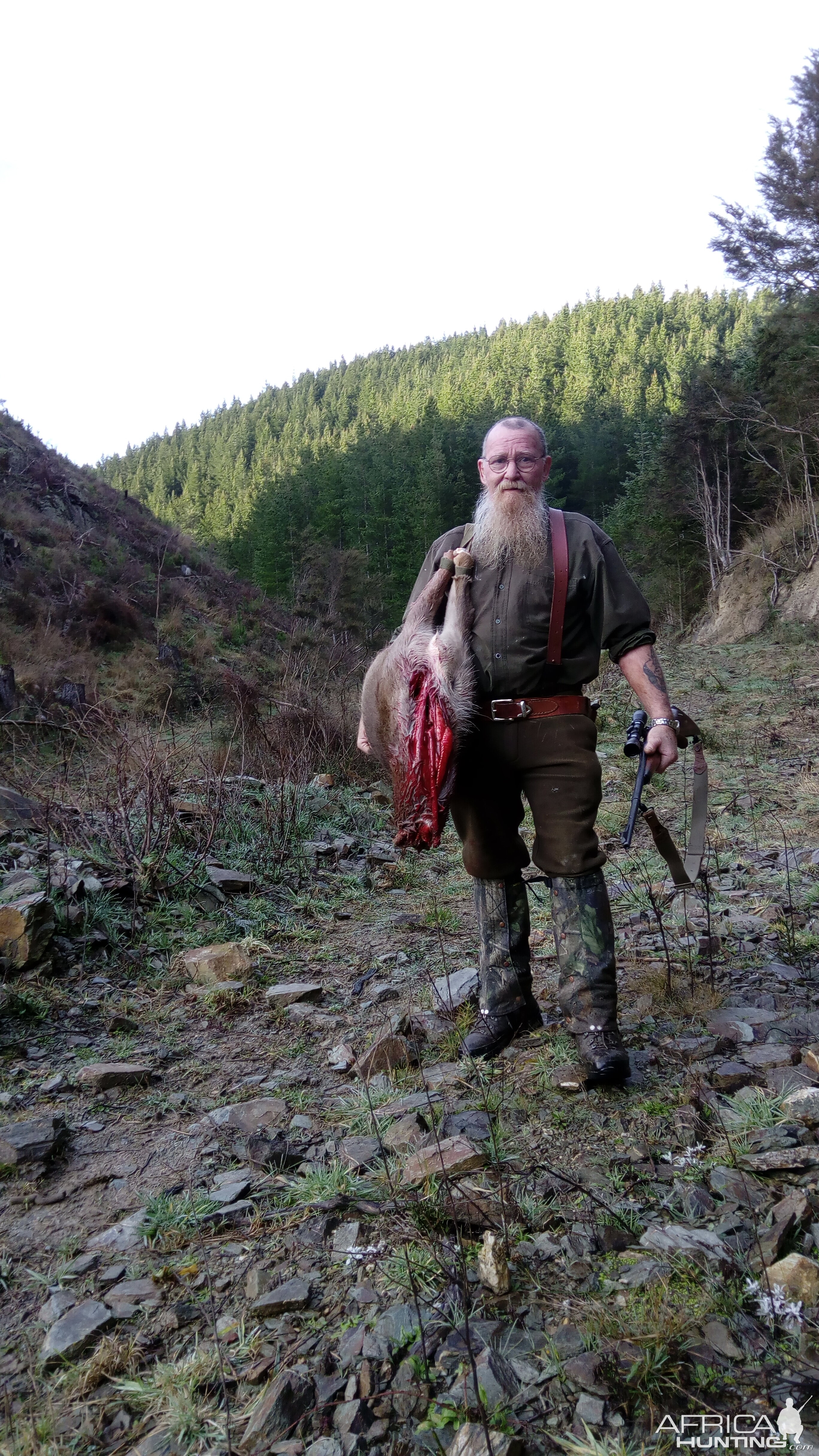 Fallow Deer Hunt New Zealand