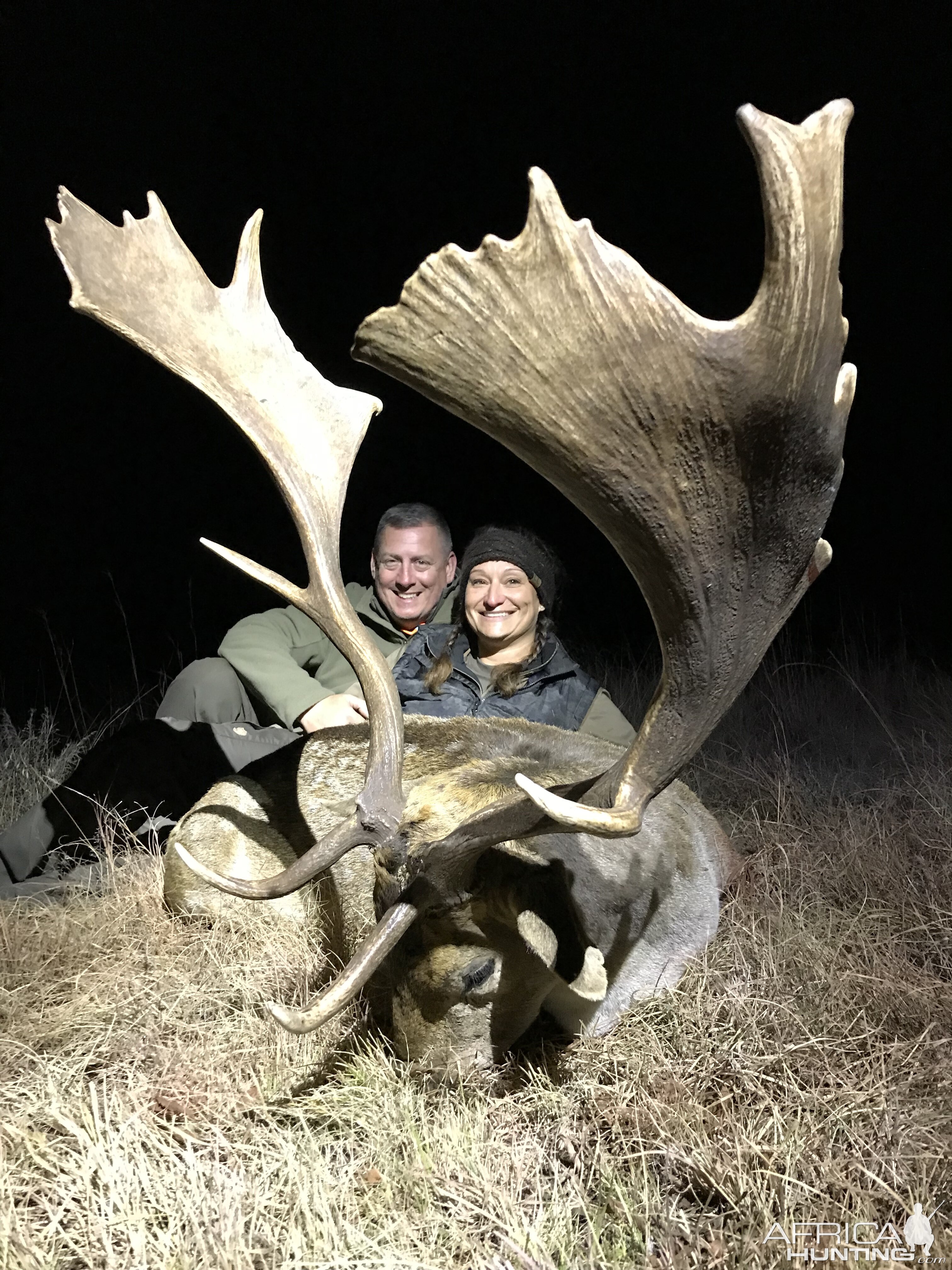 Fallow Deer Hunt South Africa