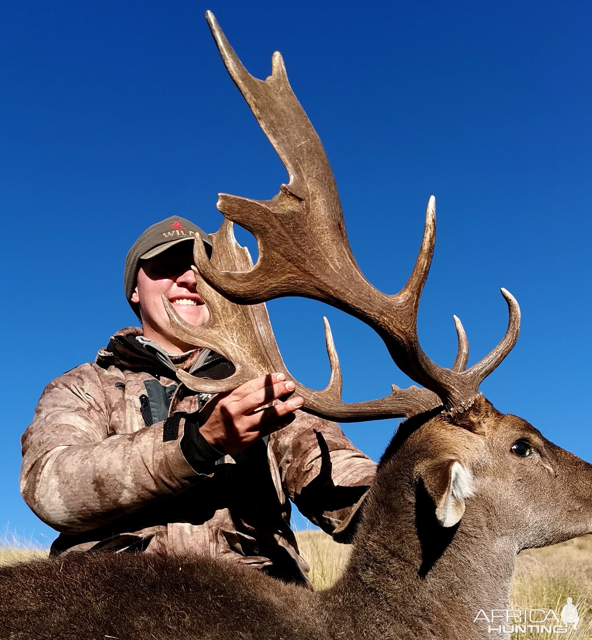 Fallow Deer Hunt South Africa