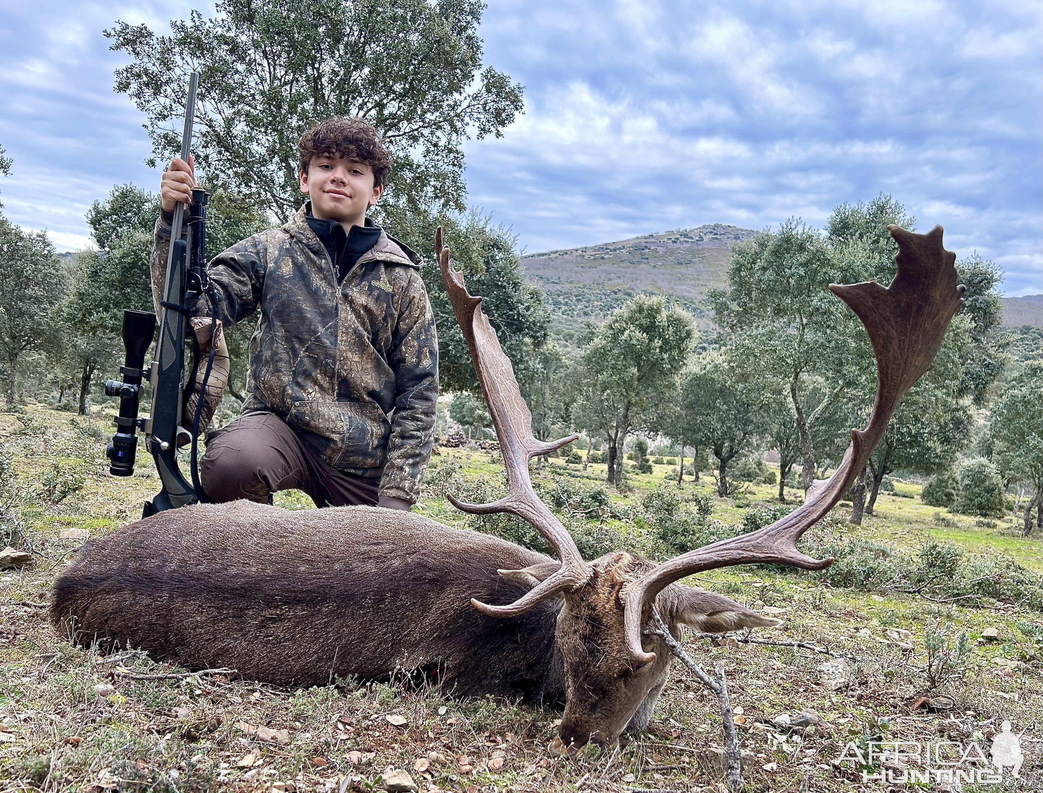 Fallow Deer Hunt Spain