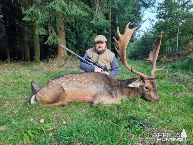 Fallow Deer Hunt United Kingdom