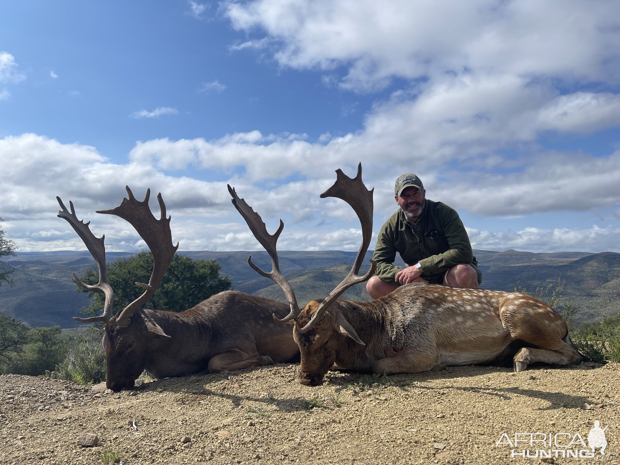 Fallow Deer Hunting Eastern Cape South Africa