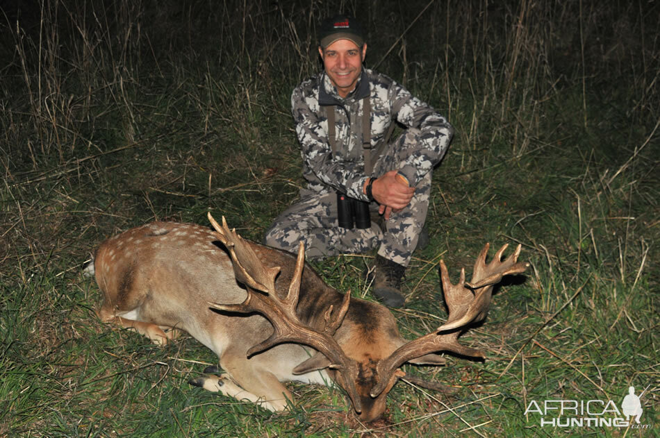 Fallow deer Hunting France