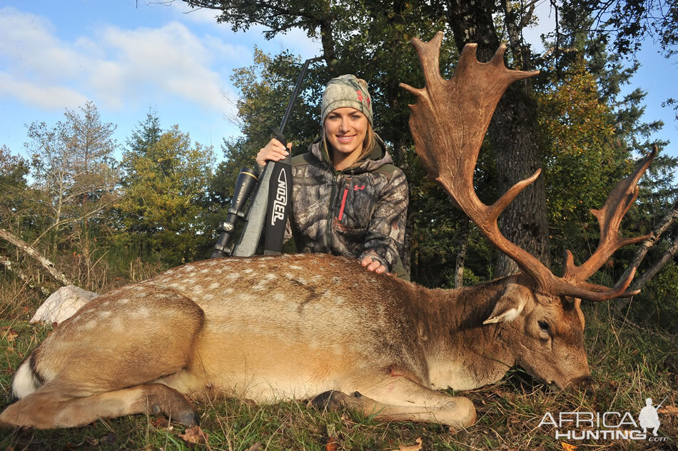 Fallow Deer Hunting France