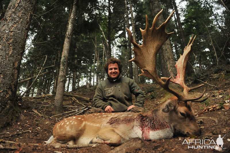 Fallow Deer Hunting France