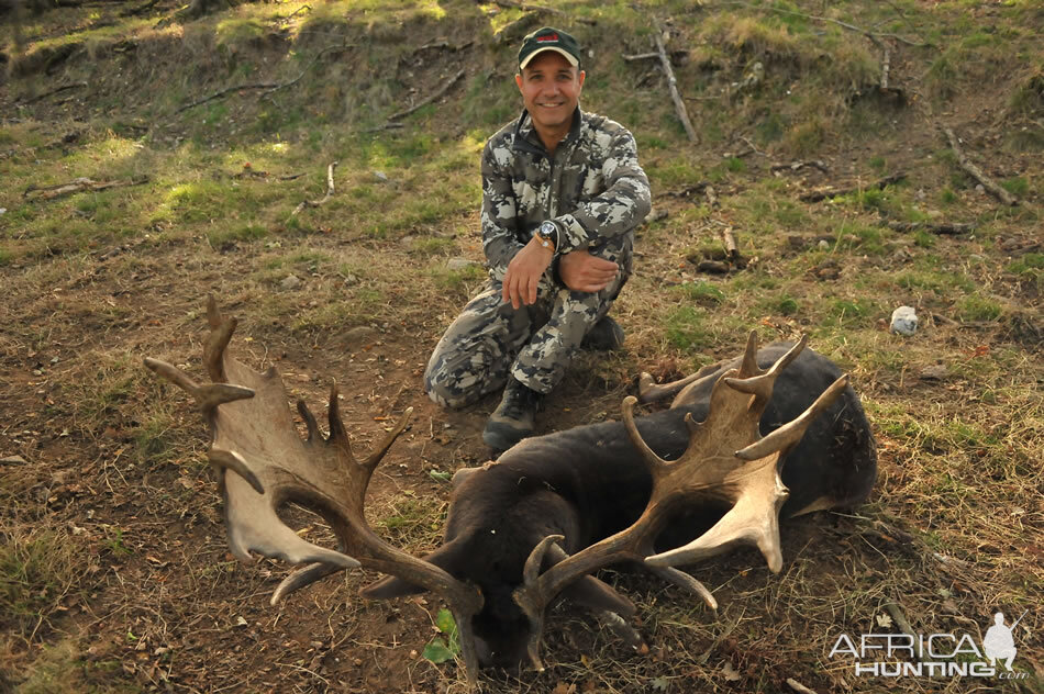 Fallow Deer Hunting in France