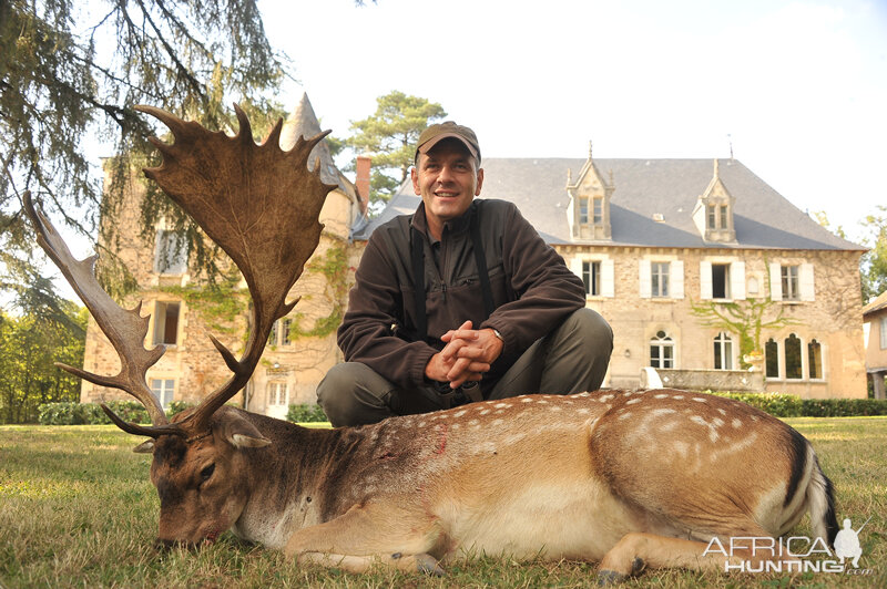 Fallow Deer Hunting in France