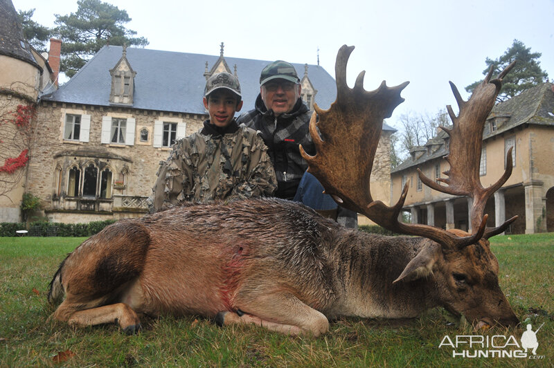 Fallow Deer Hunting in France