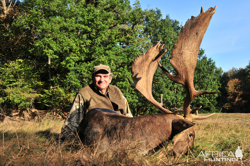 Fallow Deer Hunting in France