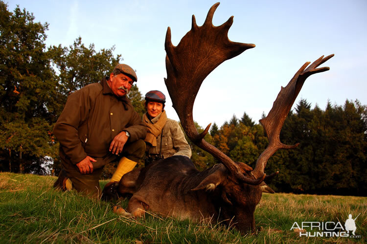 Fallow Deer Hunting in France