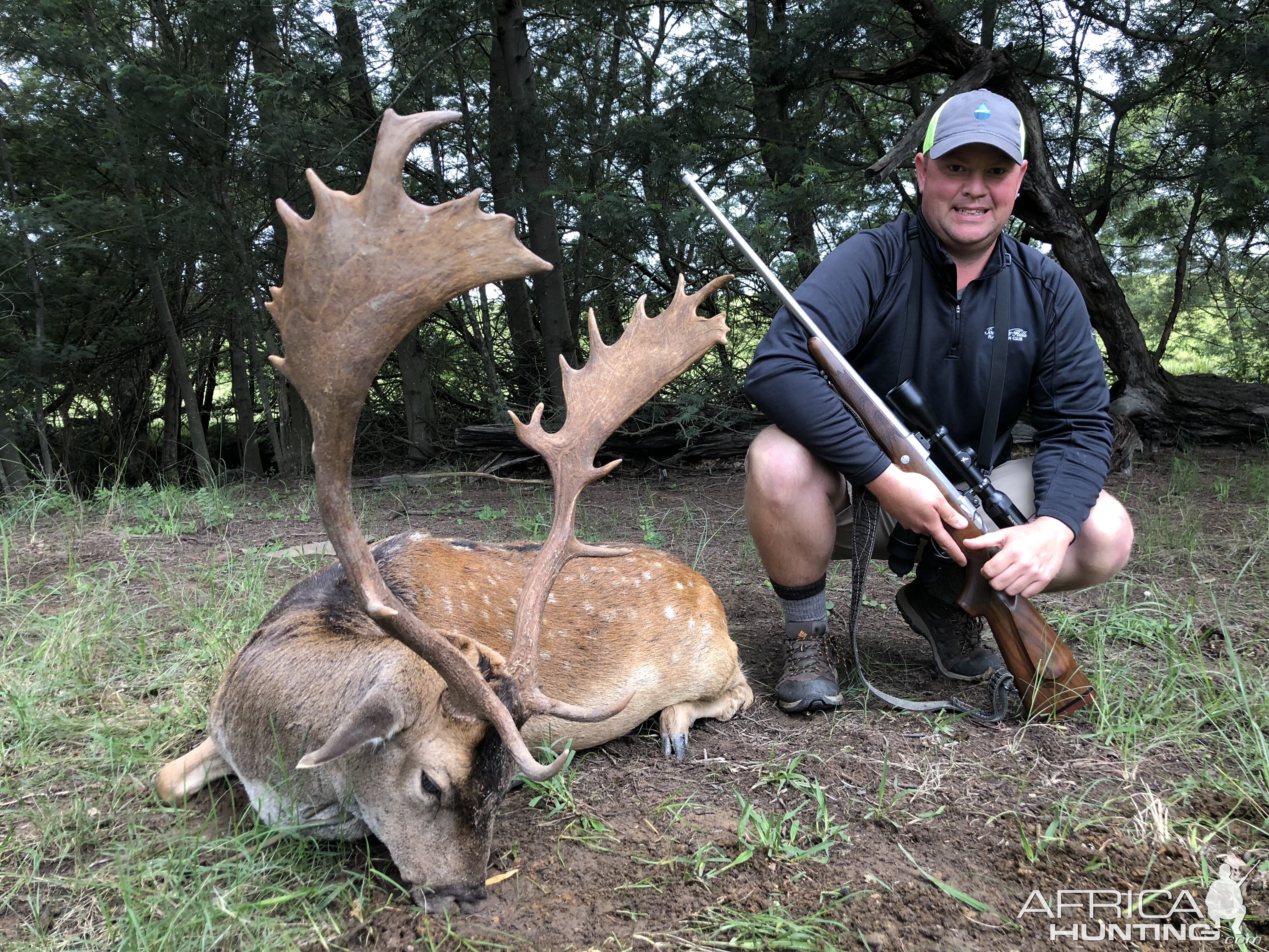 Fallow Deer Hunting in South Africa