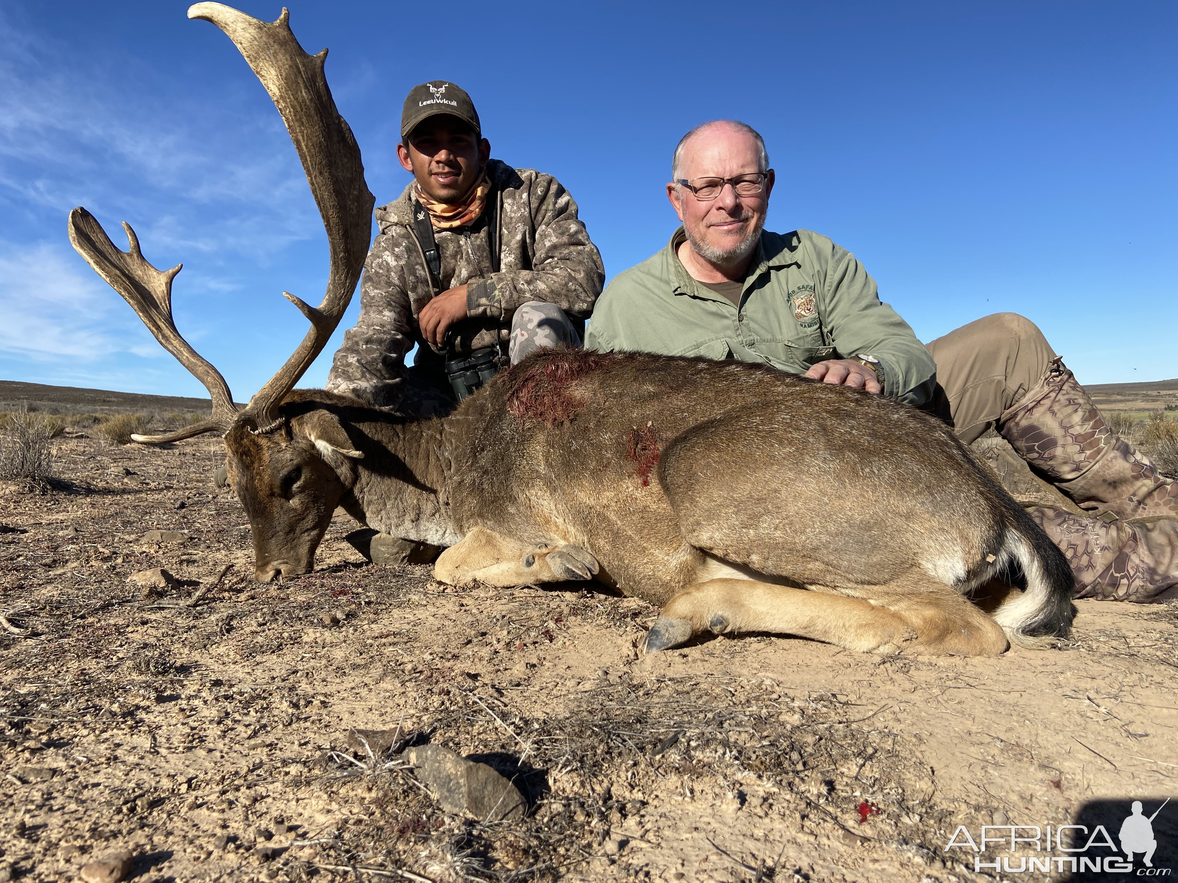 Fallow Deer Hunting Northern Cape South Africa