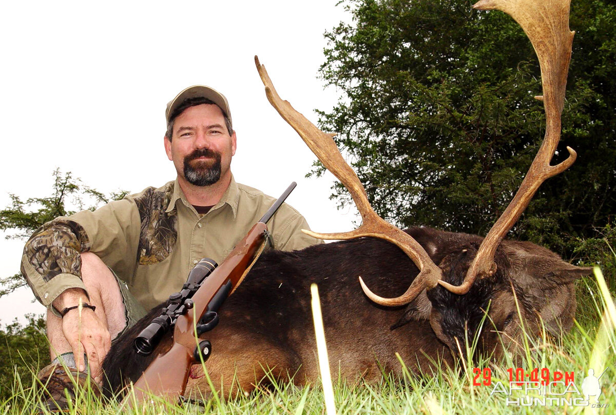 Fallow Deer Hunting South Africa