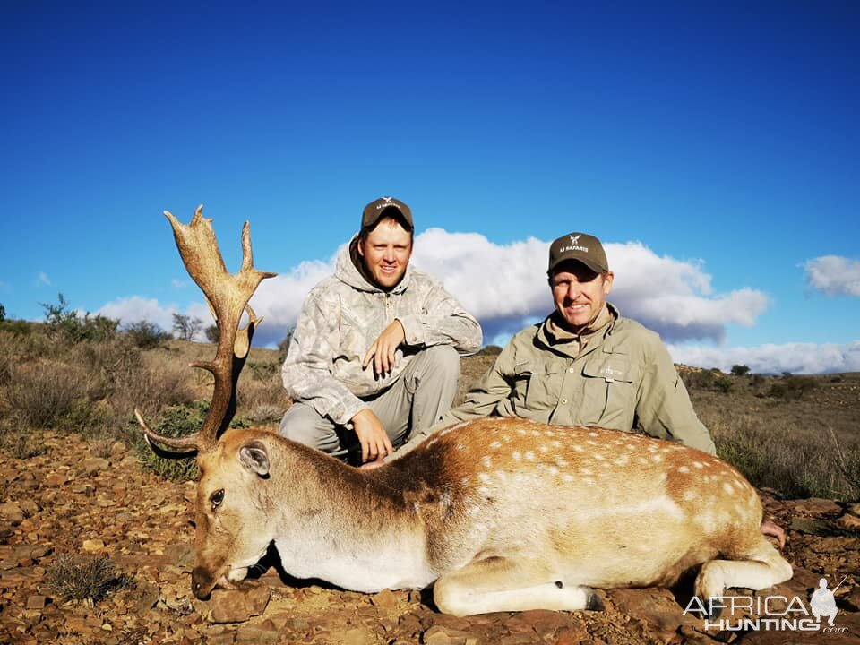 Fallow Deer Hunting South Africa