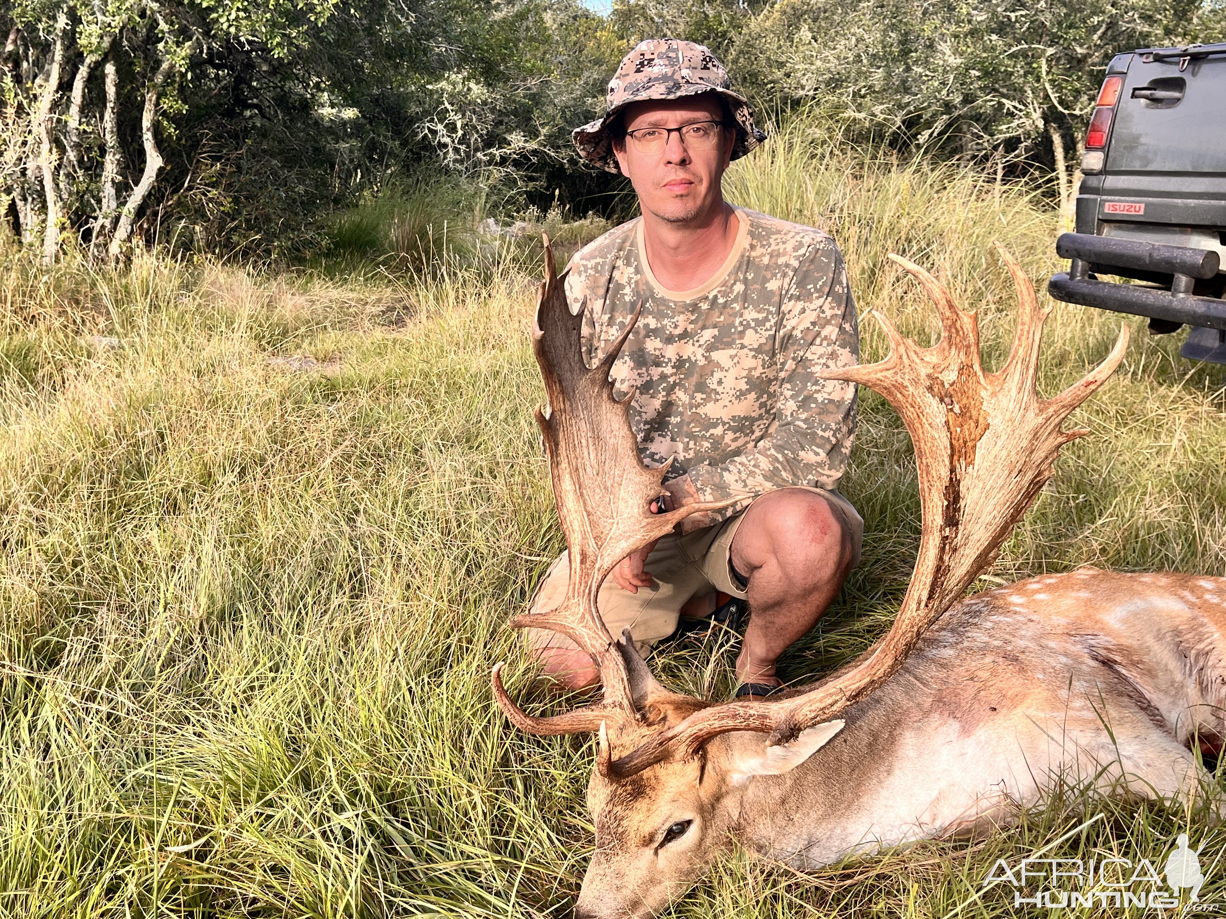 Fallow Deer Hunting