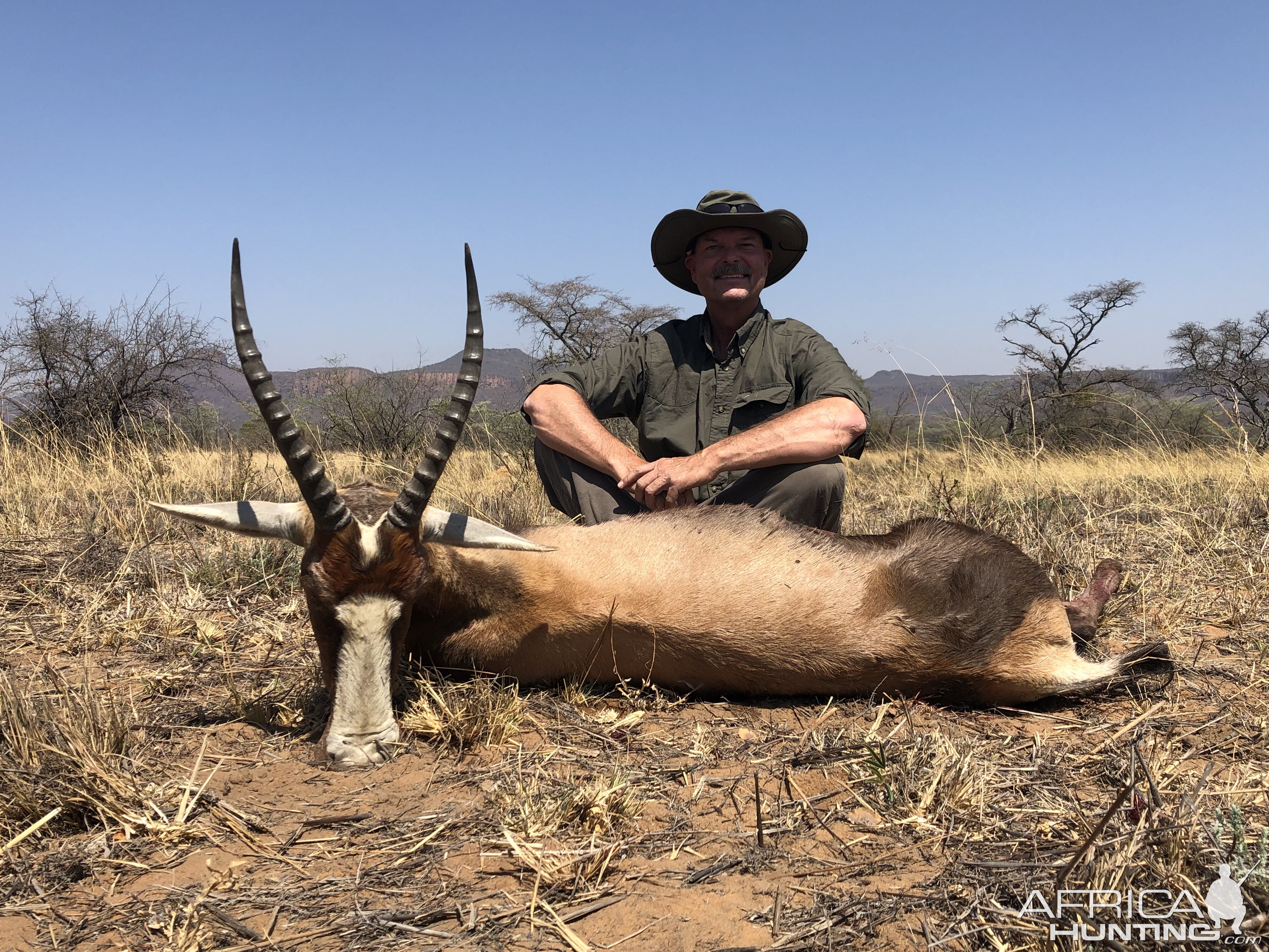 Female Blesbok Cull Hunting South Africa