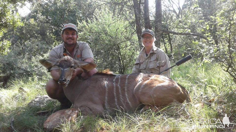 Female Kudu Cull Hunt in South Africa