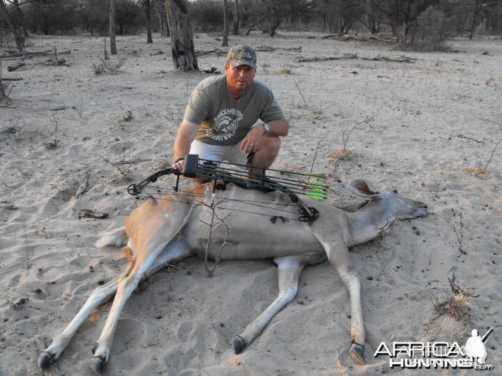 Female Kudu