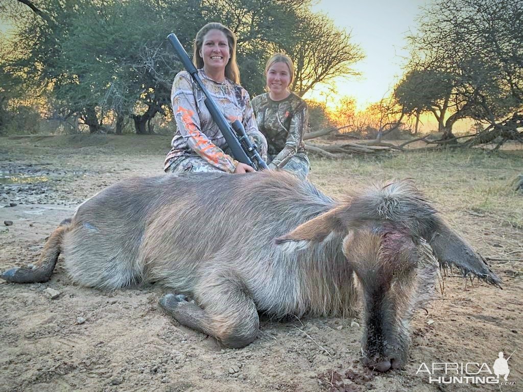 Female Waterbuck Hunt South Africa