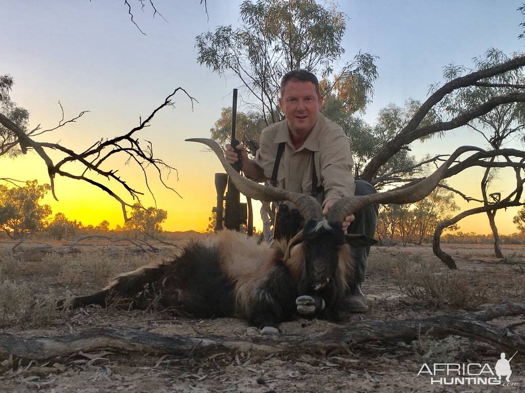 Feral Goat Hunt