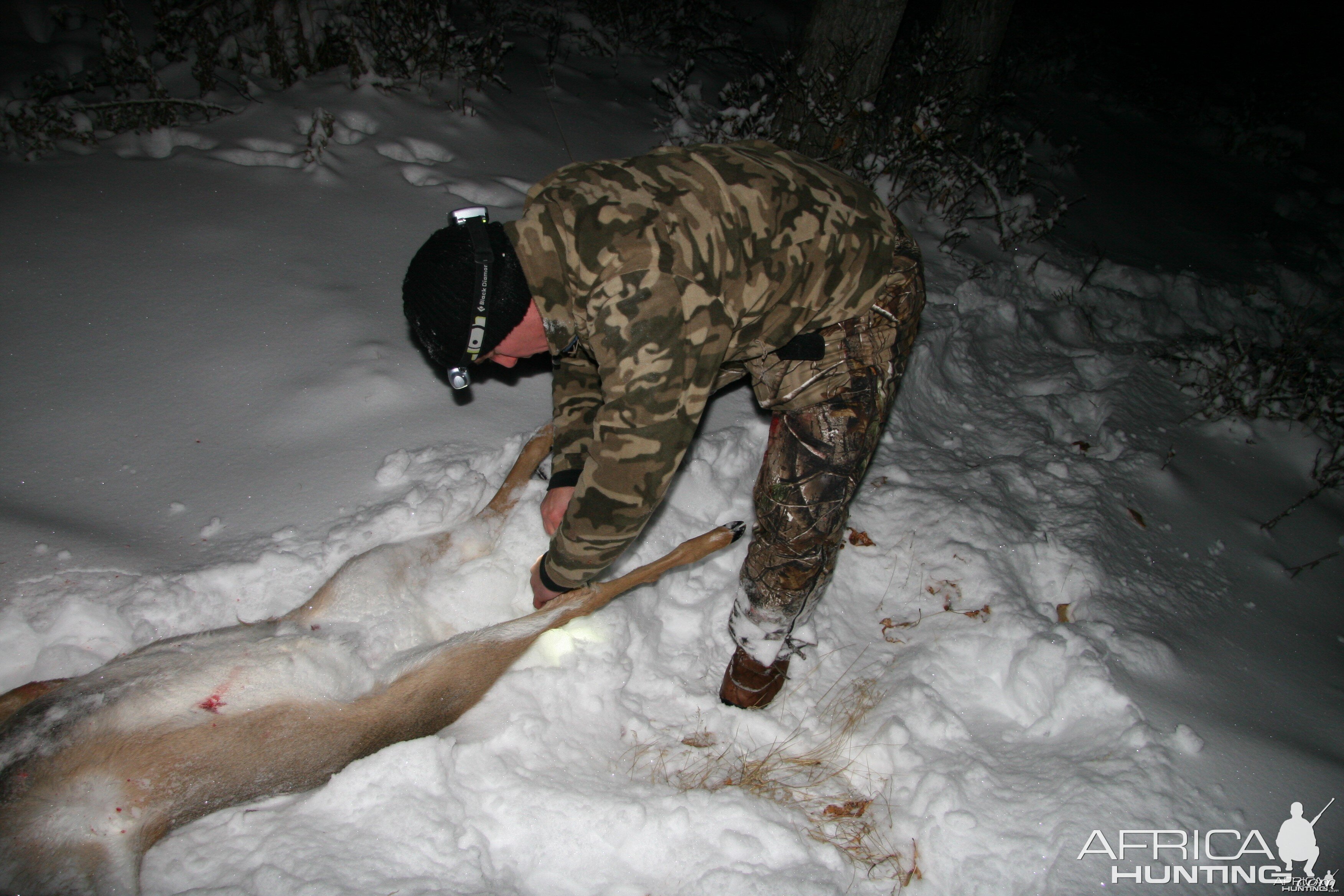 Field Dressing