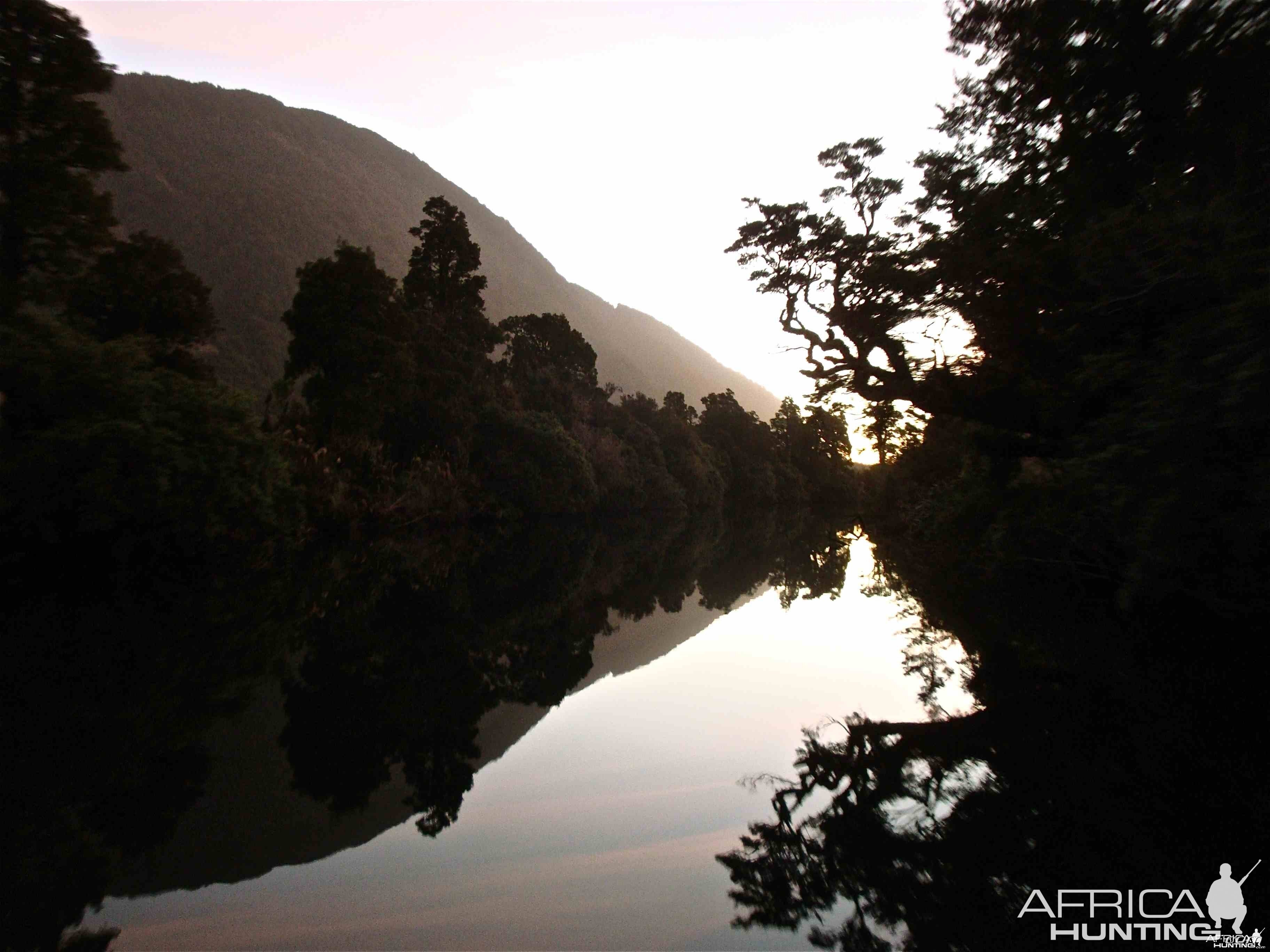 Fiordland reflection. Boating back to camp after a hard day chasing Red Sta