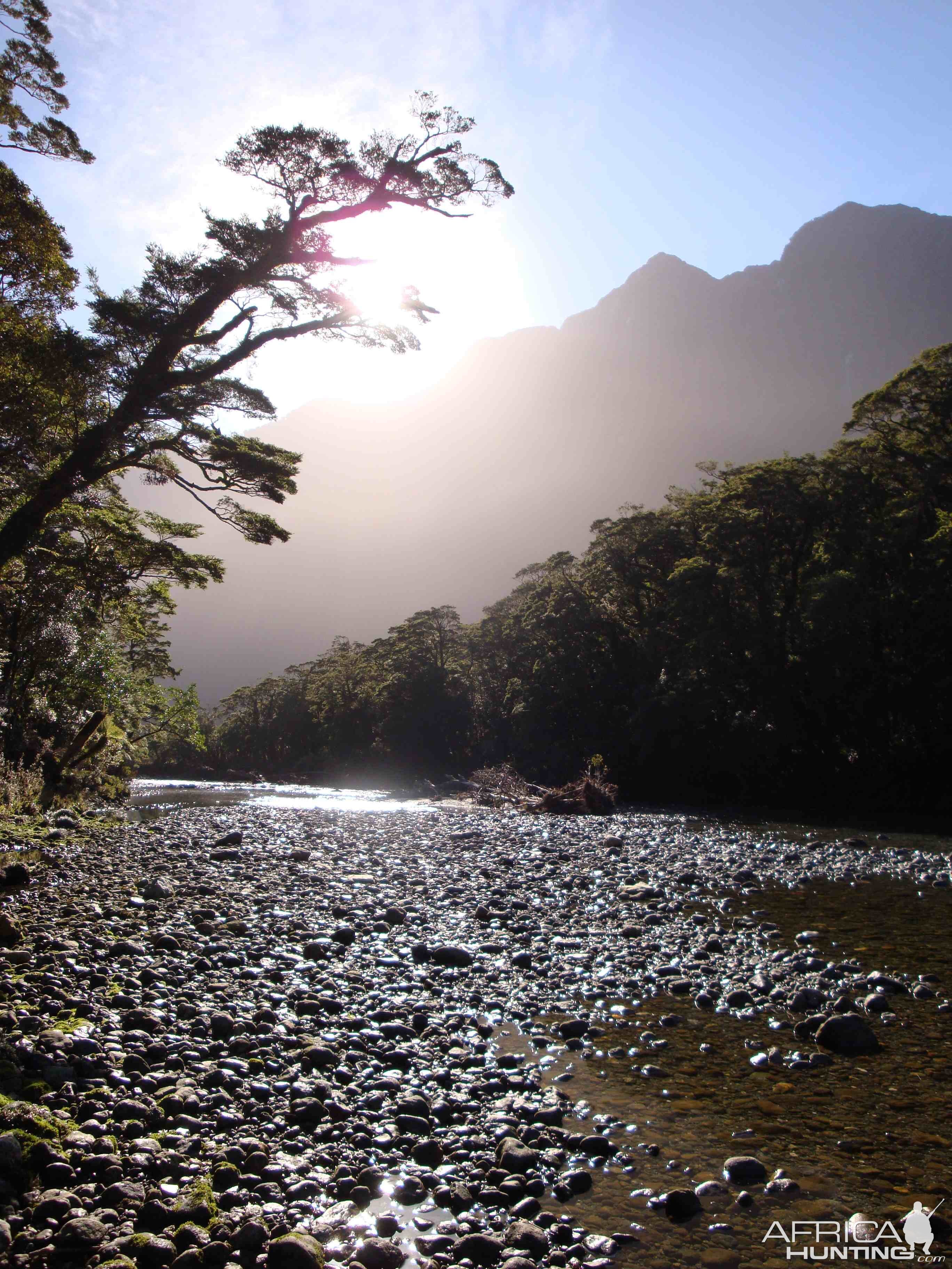 Fiordland