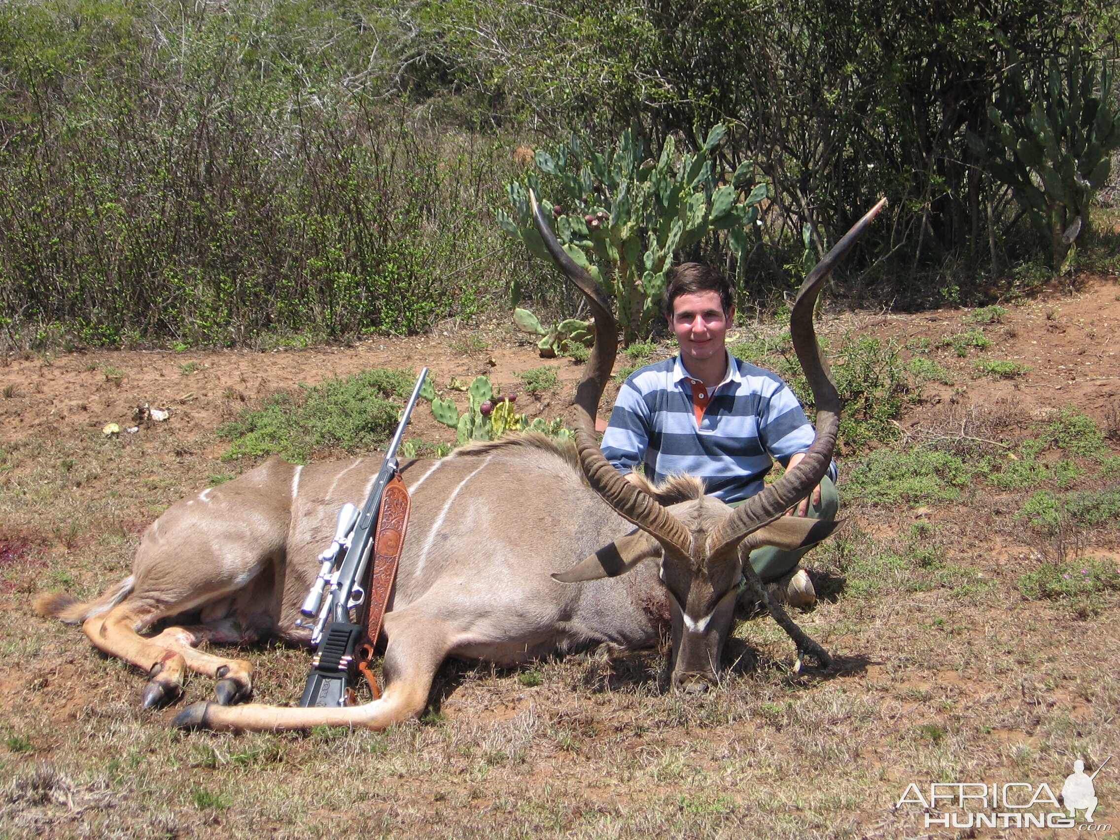 First African Safari Eastern Cape Kudu