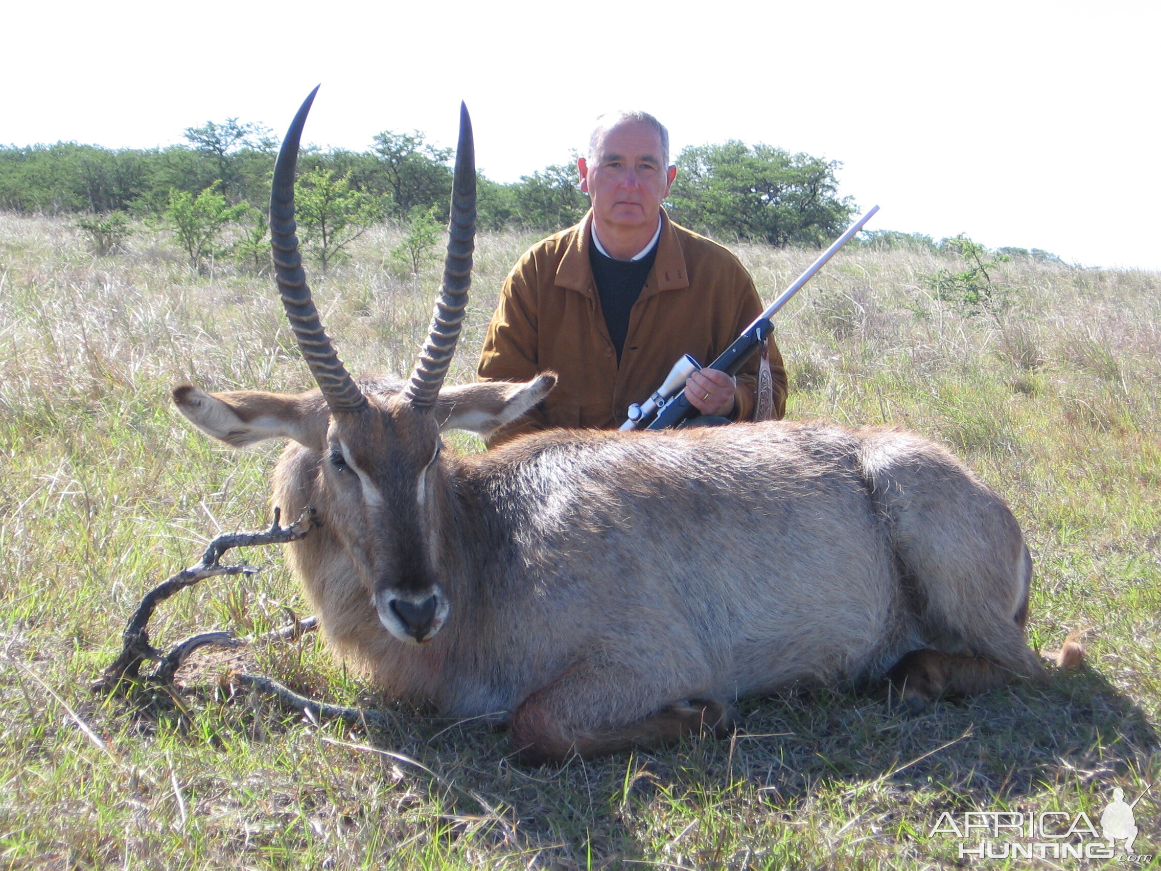 First African Safari Waterbuck of my Father South Africa