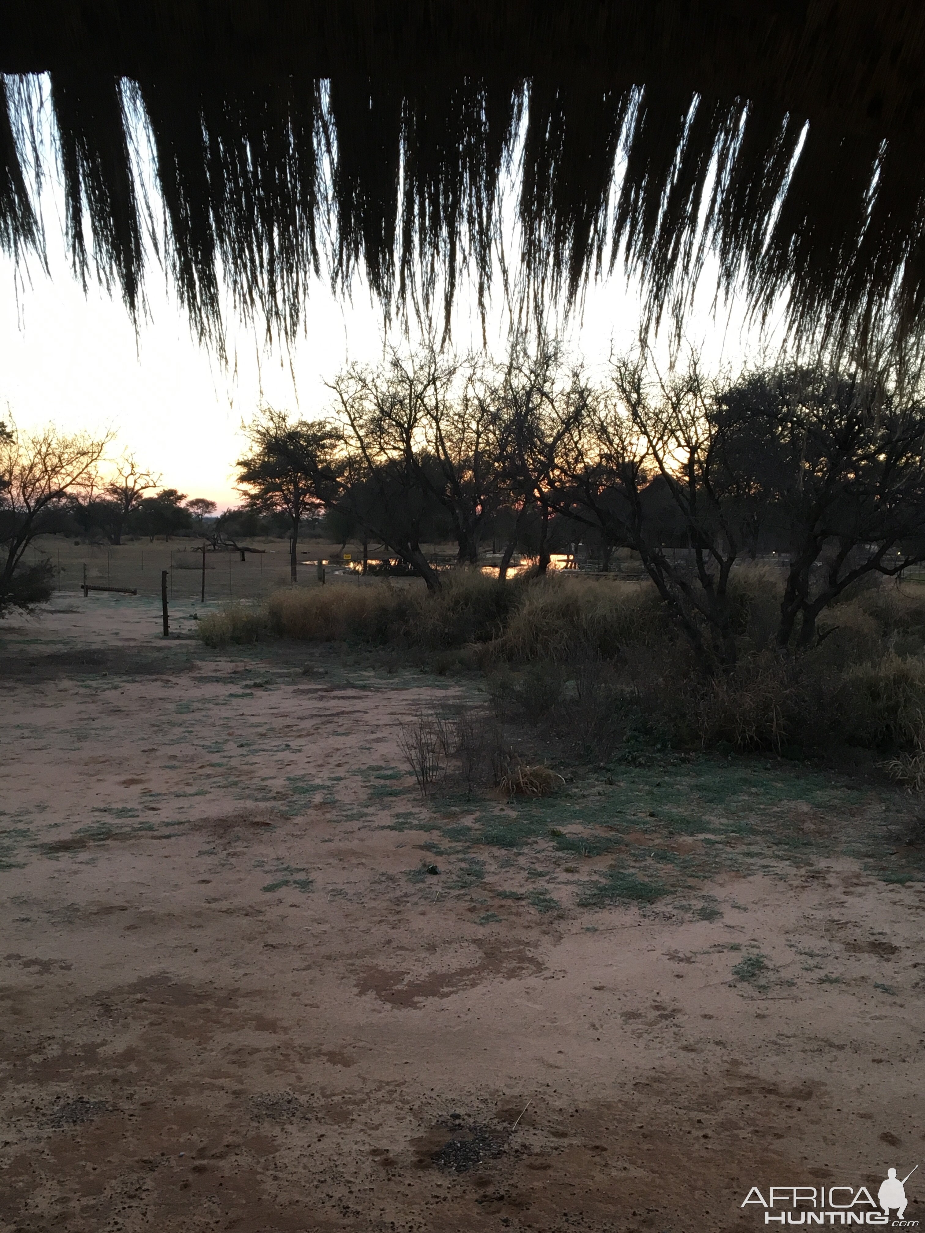 First sunrise in the Kalahari South Africa