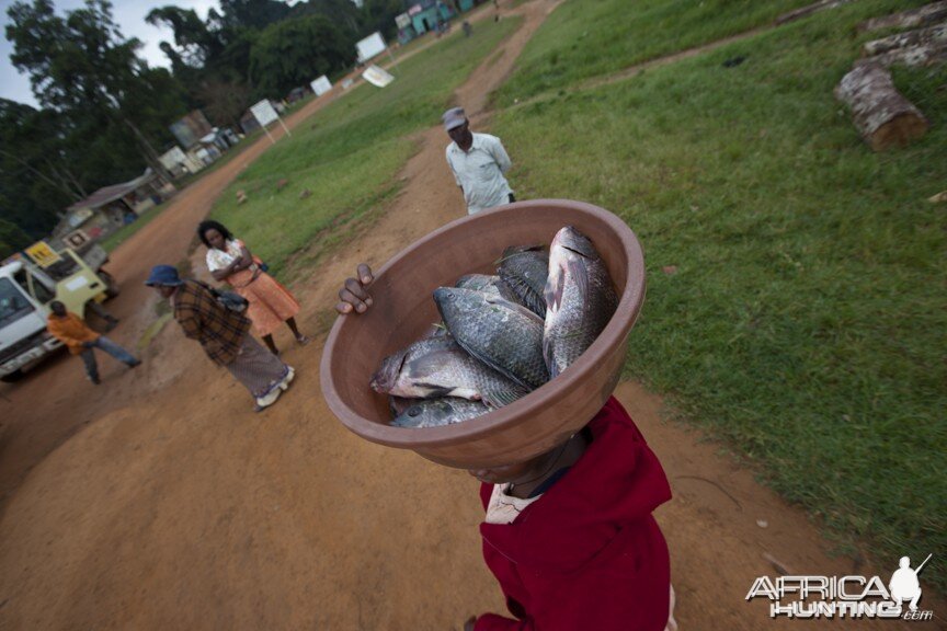 Fish on head, Uganda