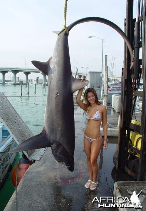 Fishing Babes