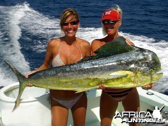 Fishing Bikinis