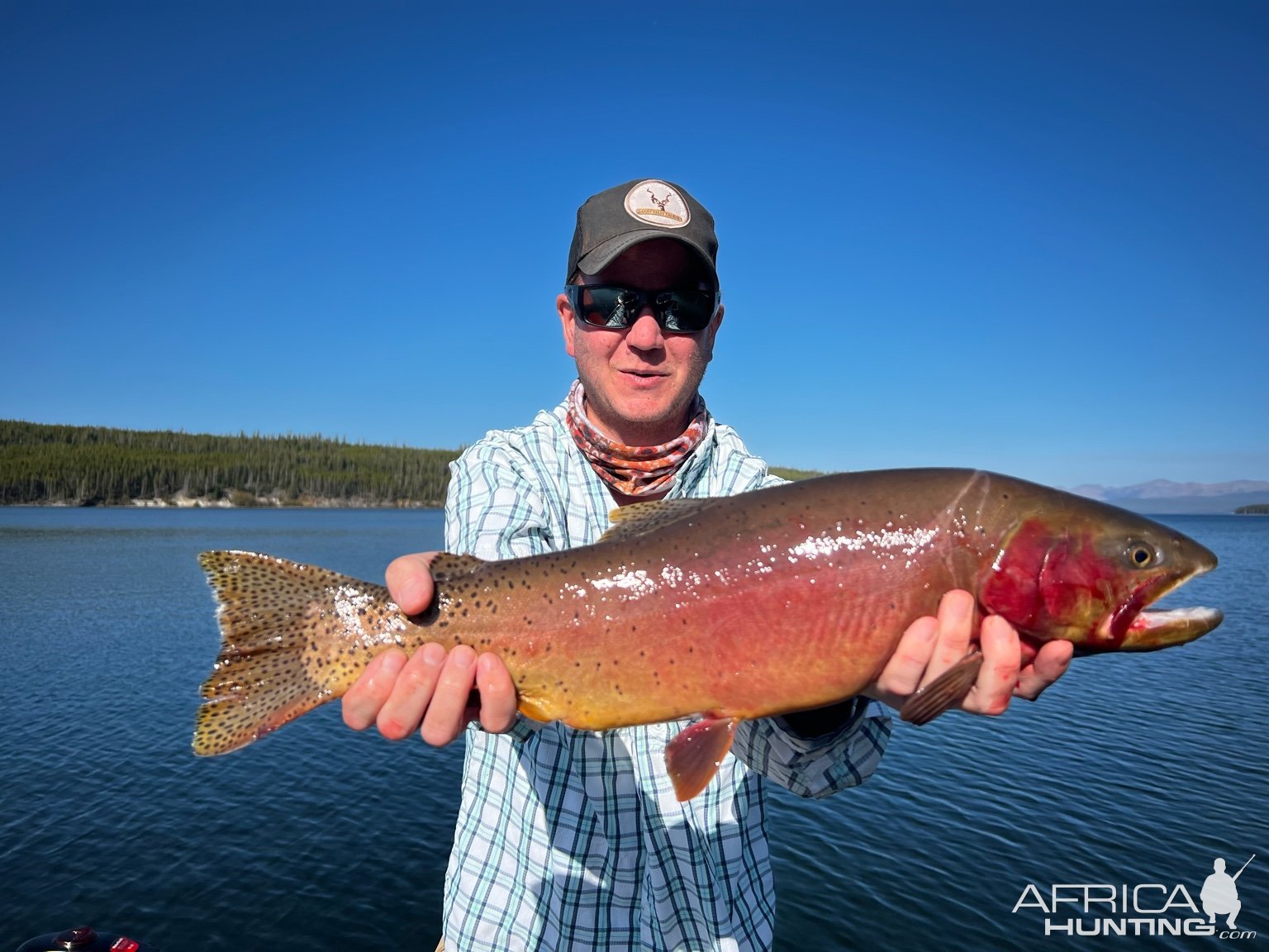 Fishing Cutthroat Trout Yellowstone Lake